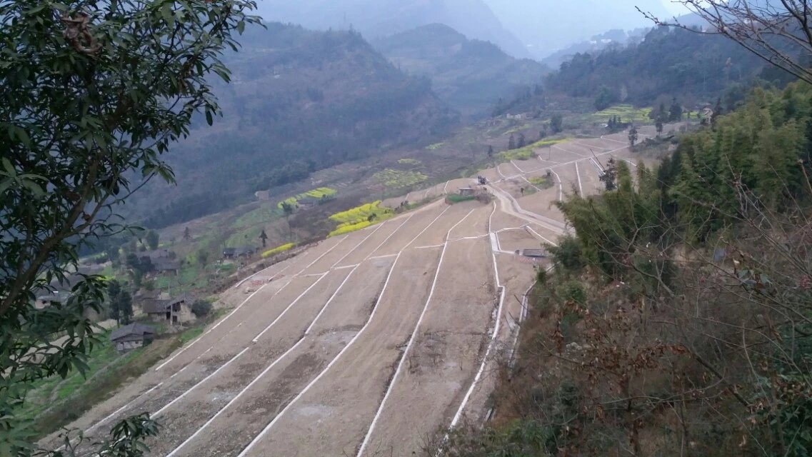 屏山县新安镇干河村和平村解吉村井坝村龙桥村石溪村新开村土地整理